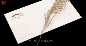 thiệp cưới mica