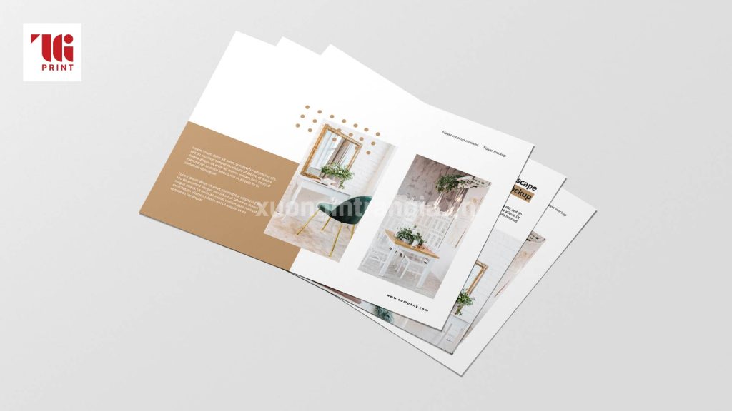 catalogue-tieu-chuan