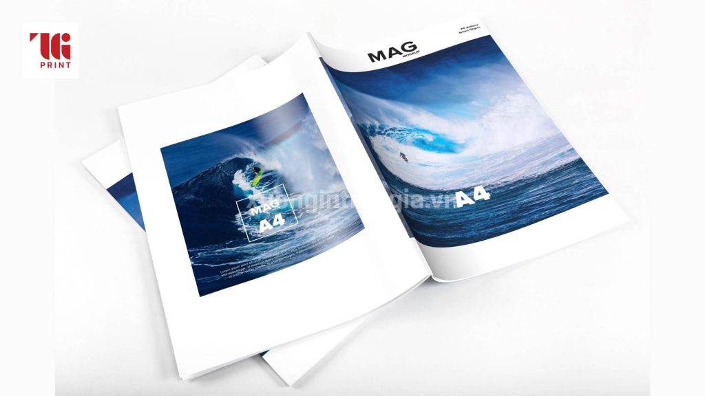 catalogue-tieu-chuan-la-gi