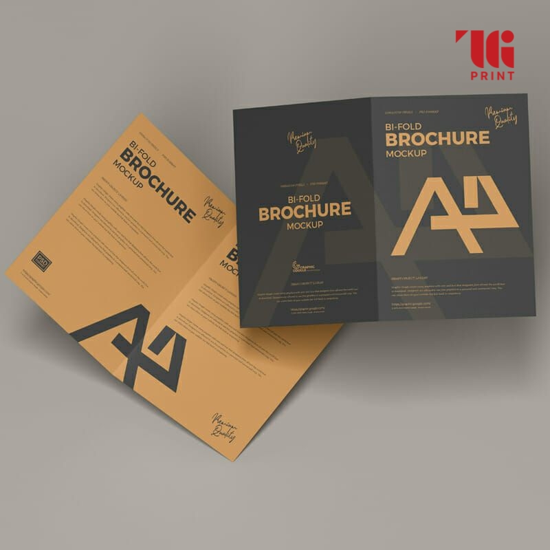 dac-diem-cua-to-gap-doi-a4