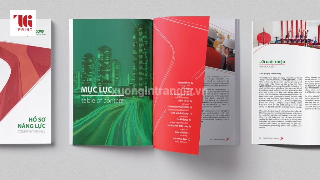 ho-so-nang-luc-cong-ty