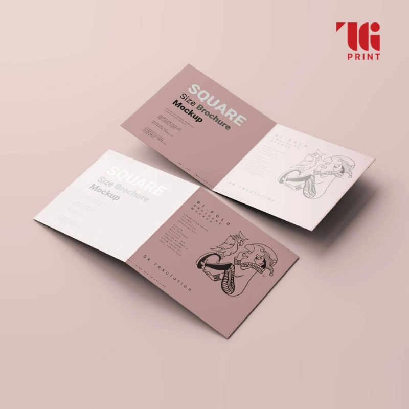 kich-thuoc-brochure