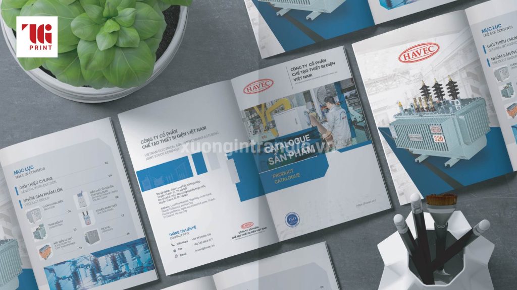 kich-thuoc-cua-catalogue-tieu-chuan