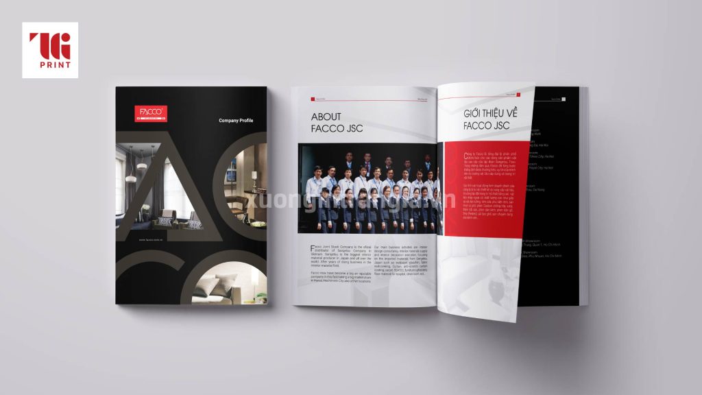 mau-ho-so-nang-luc-cong-ty