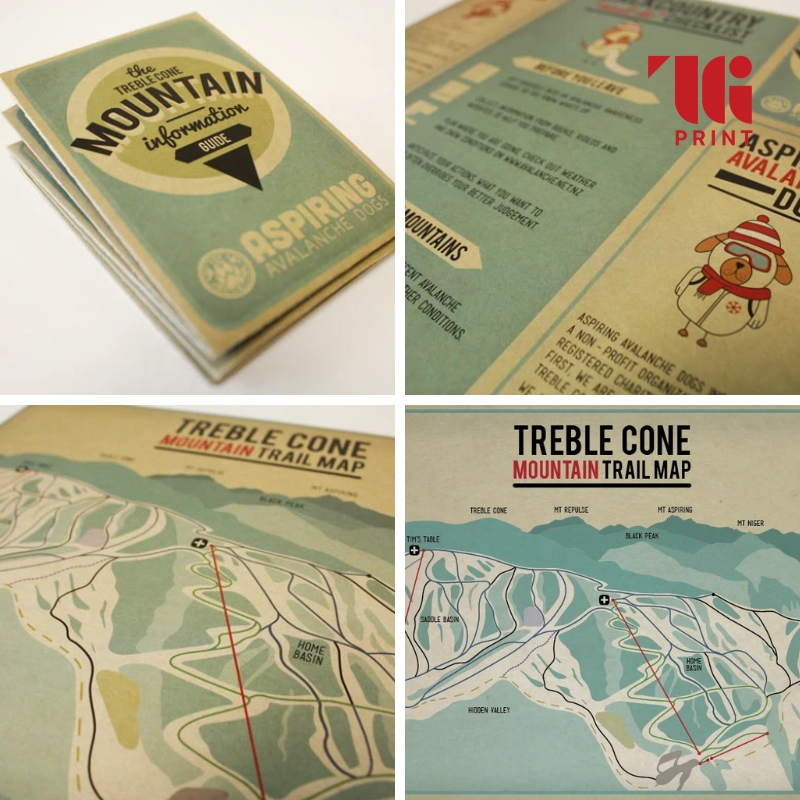 thiet-ke-brochure
