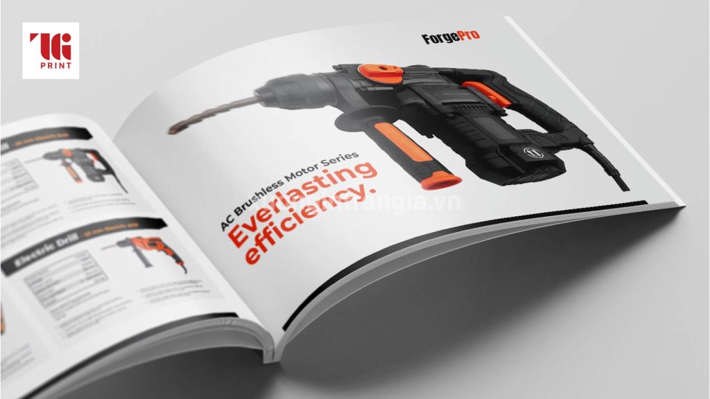 thiet-ke-in-an-catalogue