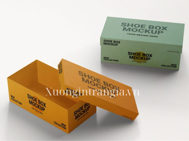 hộp đựng giầy