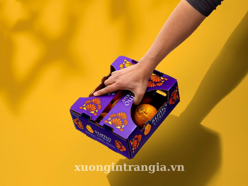 hộp trái cây