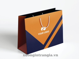 Mẫu túi giấy thiết kế hiện đại