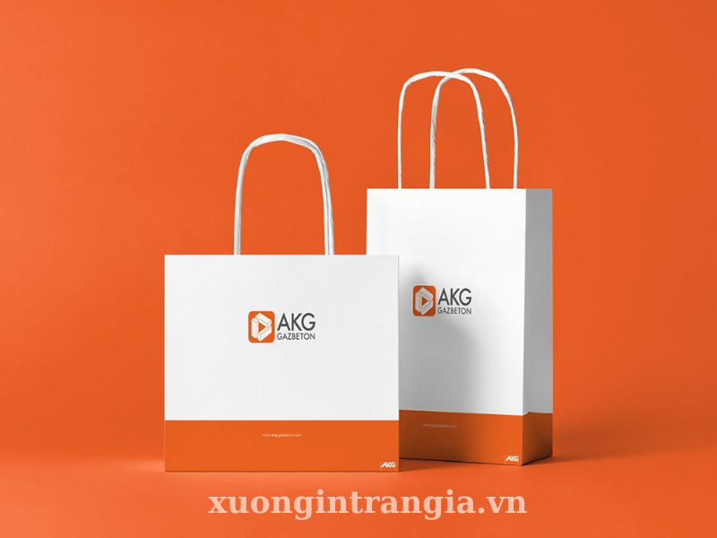 Mẫu túi giấy tại Trần Gia