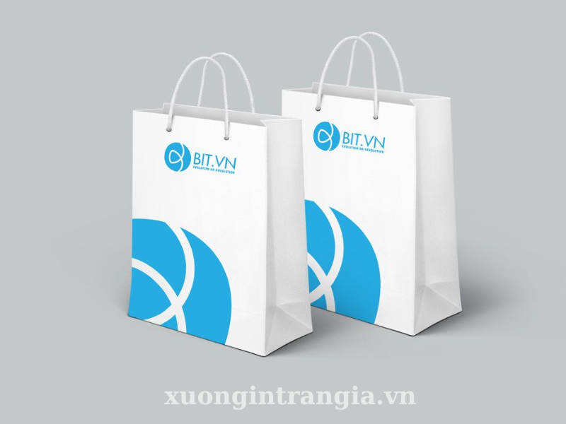 Mẫu túi giấy nổi bật nhà Trần Gia